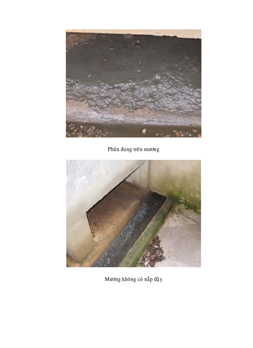 image for page Nghiên cứu hiện trạng và xây dựng các giải pháp bảo vệ môi trường cho trang trại chăn nuôi Văn Lợi huyện Thống Nhất tỉnh Đồng Nai