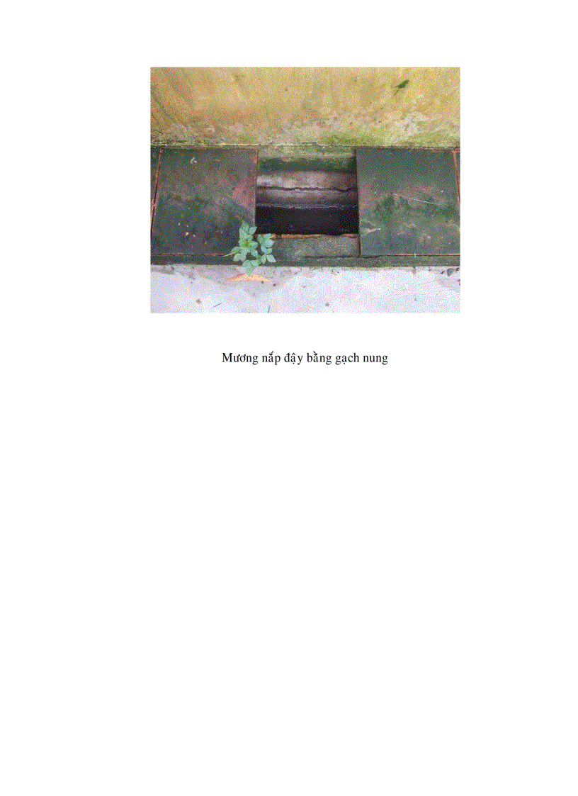 image for page Nghiên cứu hiện trạng và xây dựng các giải pháp bảo vệ môi trường cho trang trại chăn nuôi Văn Lợi huyện Thống Nhất tỉnh Đồng Nai