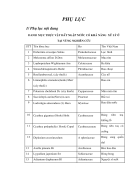 Khảo sát khả năng tự xử lý nước thải chăn nuôi heo bằng đất ngập nước tự nhiên