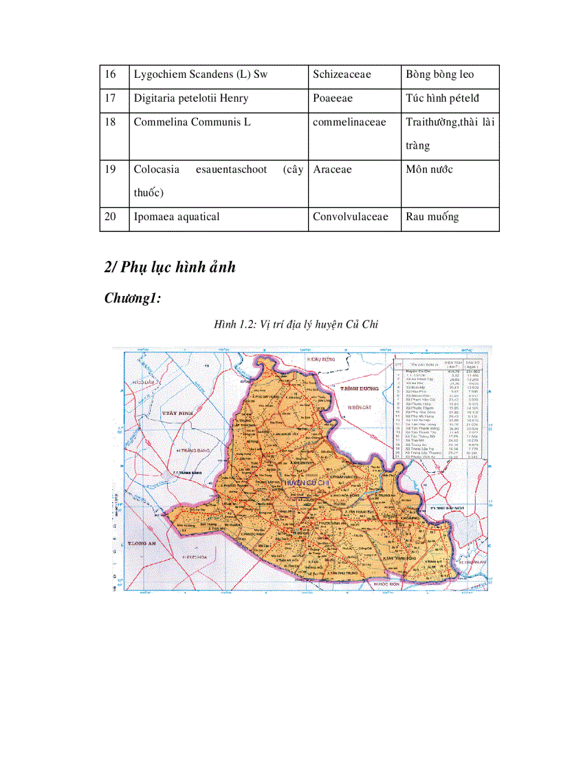 image for page Khảo sát khả năng tự xử lý nước thải chăn nuôi heo bằng đất ngập nước tự nhiên