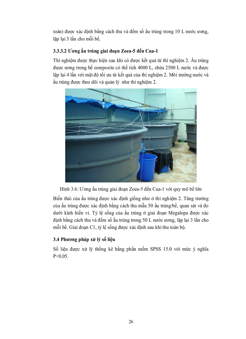 image for page Ương nuôi ấu trùng cua biển Scylla paramamosain 2 giai đoạn ZOEA 1 đến ZOEA 5 và ZOEA 5 đến CUA 1 với các mật độ và quy mô khác nhau