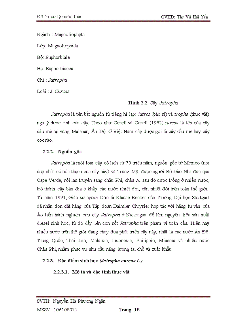image for page Nghiên cứu khả năng xử lý nước thải chăn nuôi bằng cây dầu mè Jatropha curcas L trên mô hình bãi lọc thực vật