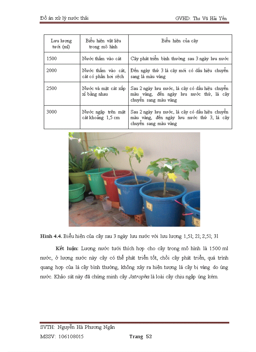 image for page Nghiên cứu khả năng xử lý nước thải chăn nuôi bằng cây dầu mè Jatropha curcas L trên mô hình bãi lọc thực vật