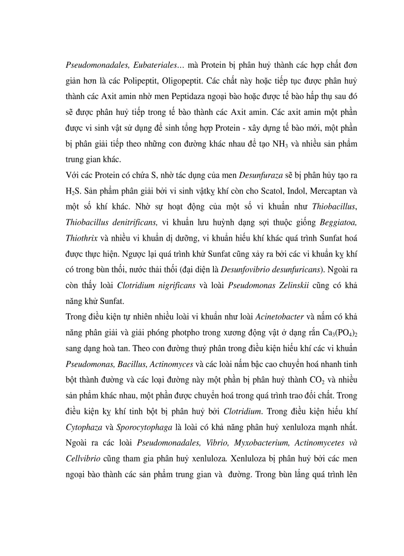 image for page Xử lí nước thải bằng phương pháp sih học