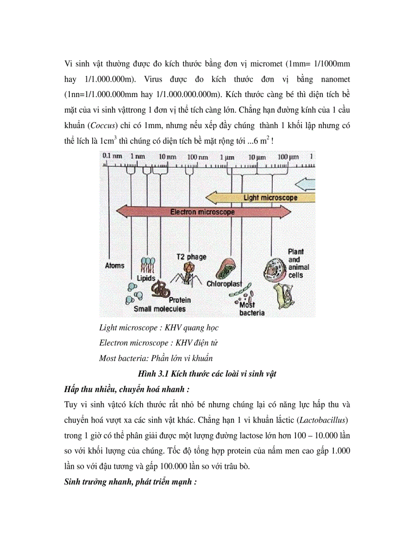 image for page Xử lí nước thải bằng phương pháp sih học