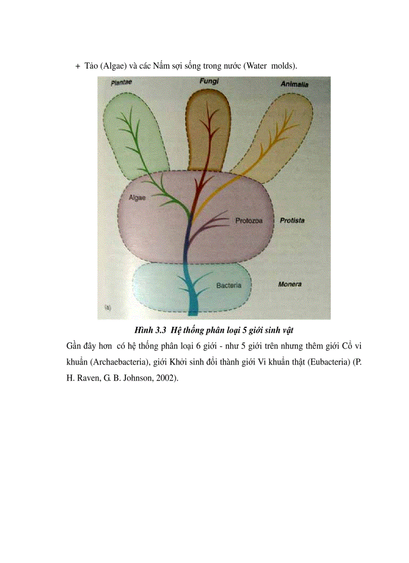 image for page Xử lí nước thải bằng phương pháp sih học