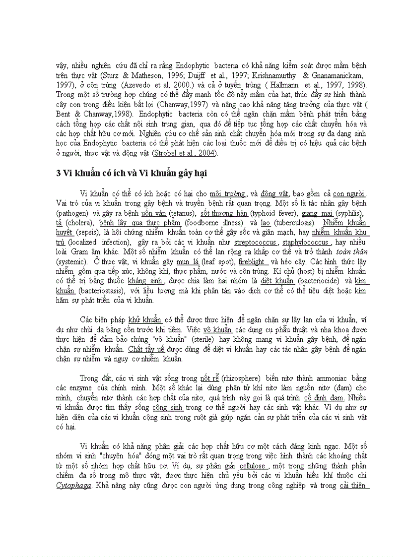 image for page Bệnh sùi cành chè Bacterium sp