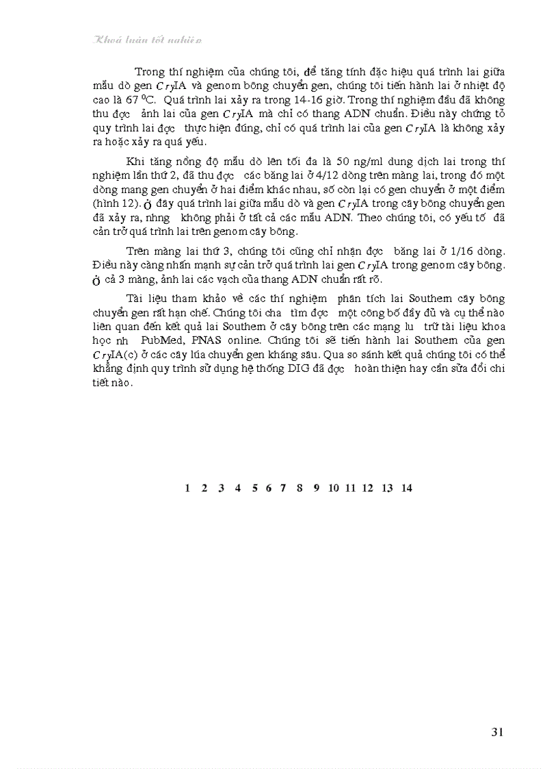 image for page Nghiên cứu bước đầu về sử dụng kỹ thuật lai Southern trong phân tích cây chuyển gen