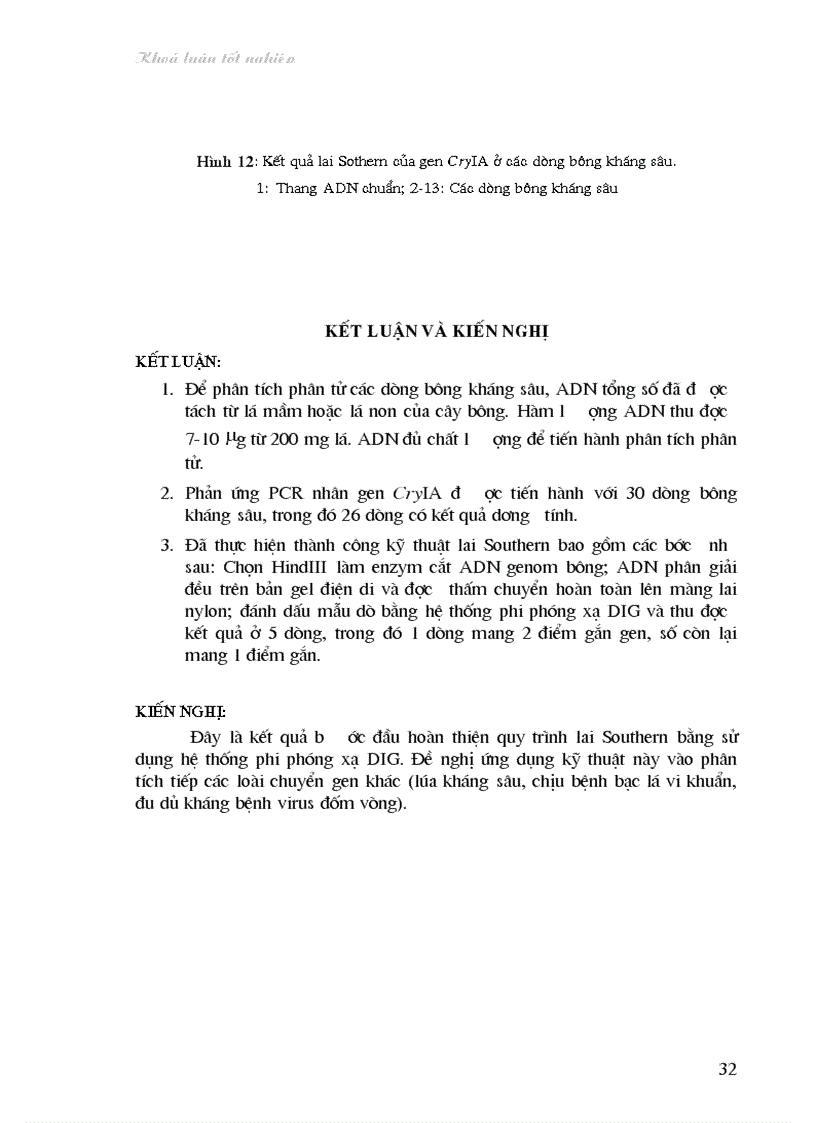 image for page Nghiên cứu bước đầu về sử dụng kỹ thuật lai Southern trong phân tích cây chuyển gen