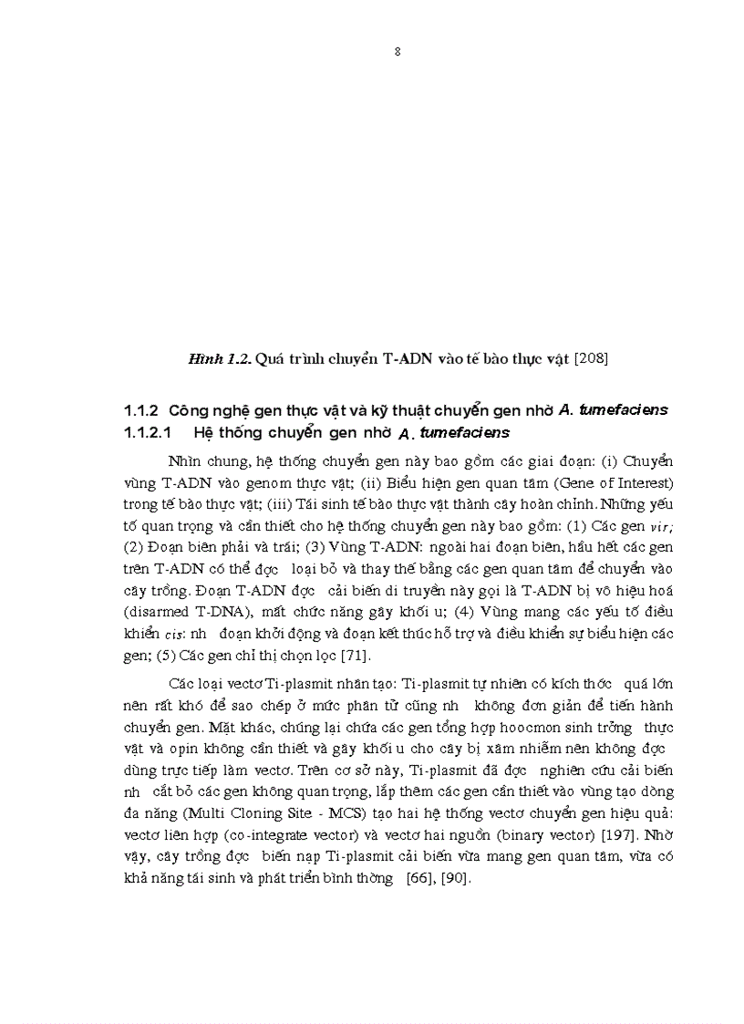 image for page Tạo chủng vi khuẩn Agrobacterium tumefaciens mang gen kháng côn trùng để chuyển vào cây trồng
