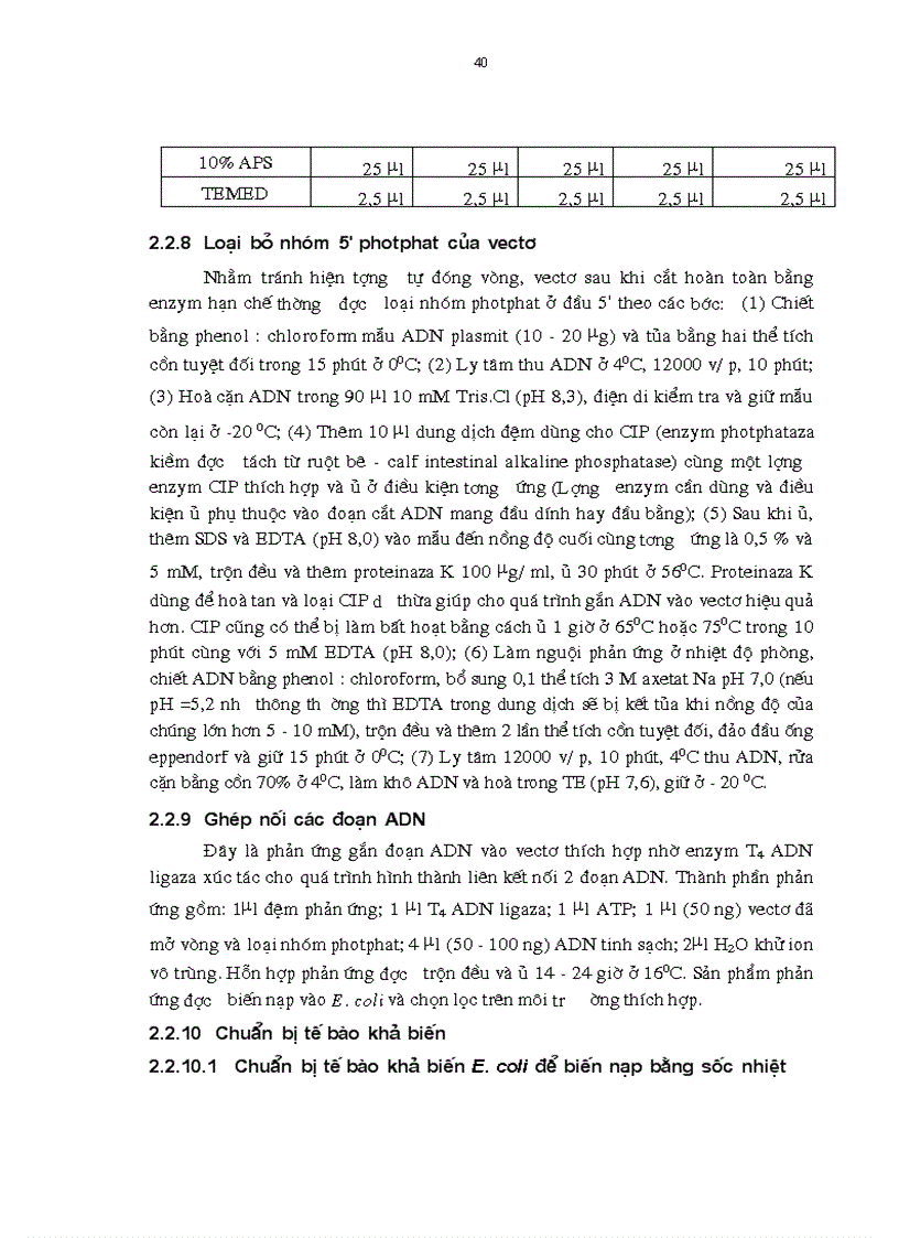 image for page Tạo chủng vi khuẩn Agrobacterium tumefaciens mang gen kháng côn trùng để chuyển vào cây trồng