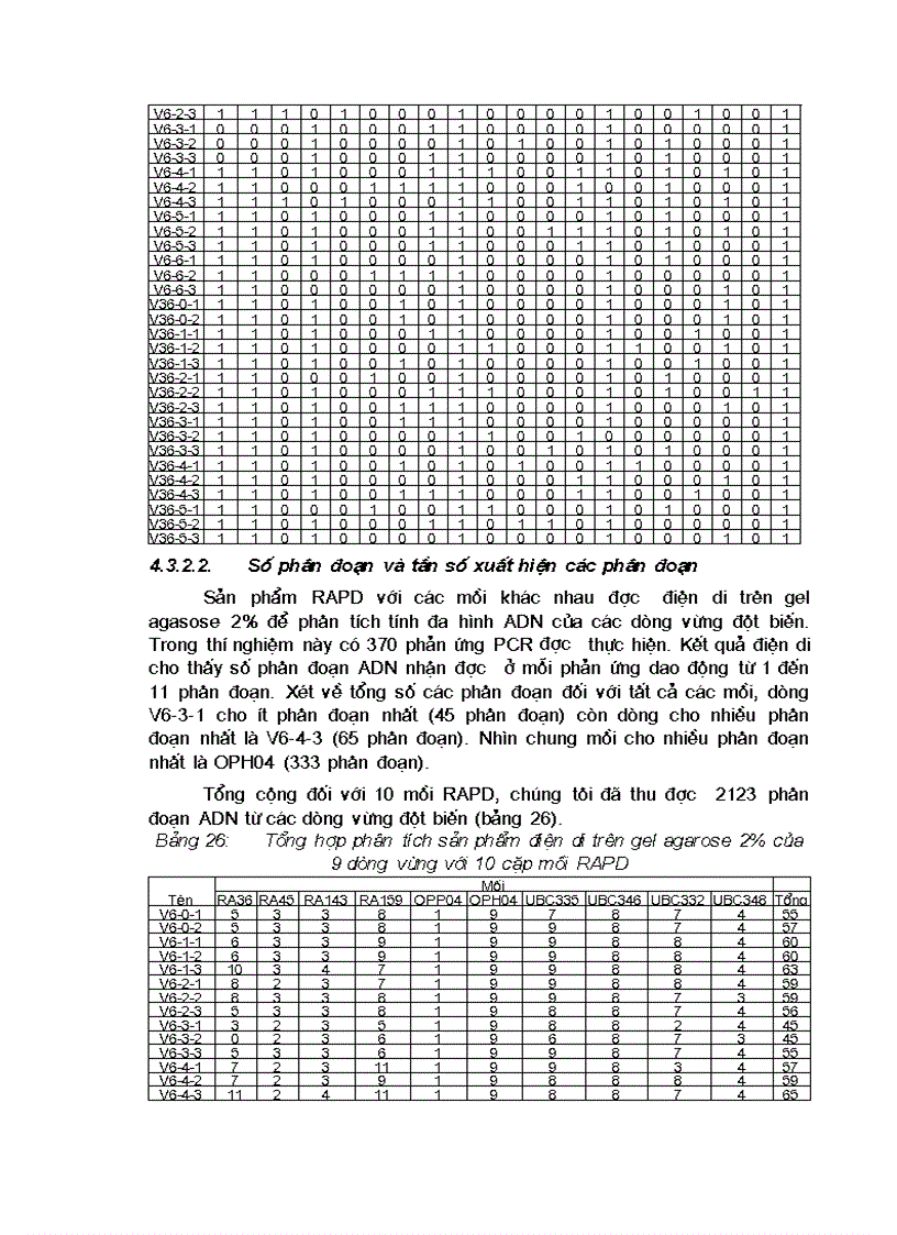 image for page Phân tích đa dạng ADN tập đoàn một số giống cây lấy dầu lạc vừng và đánh giá mức độ thay đổi phân tử của các dòng cây mới chọn tạo được