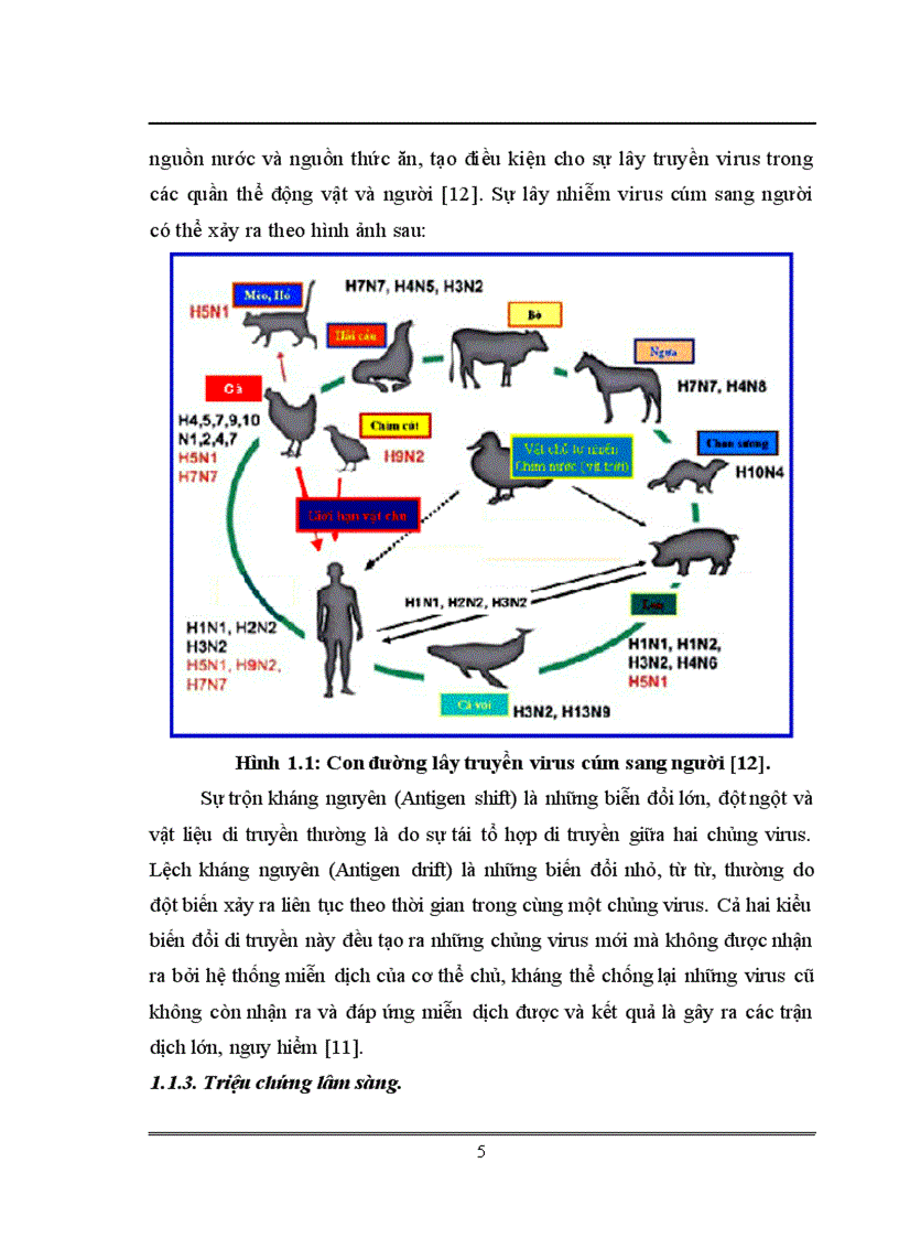 image for page Xác định trình tự và phân tích gen mã hóa kháng nguyên HA của virus cúm chủng NIBRG 14 sử dụng trong sản xuất vacine cúm A H5N1 tại Việt Nam