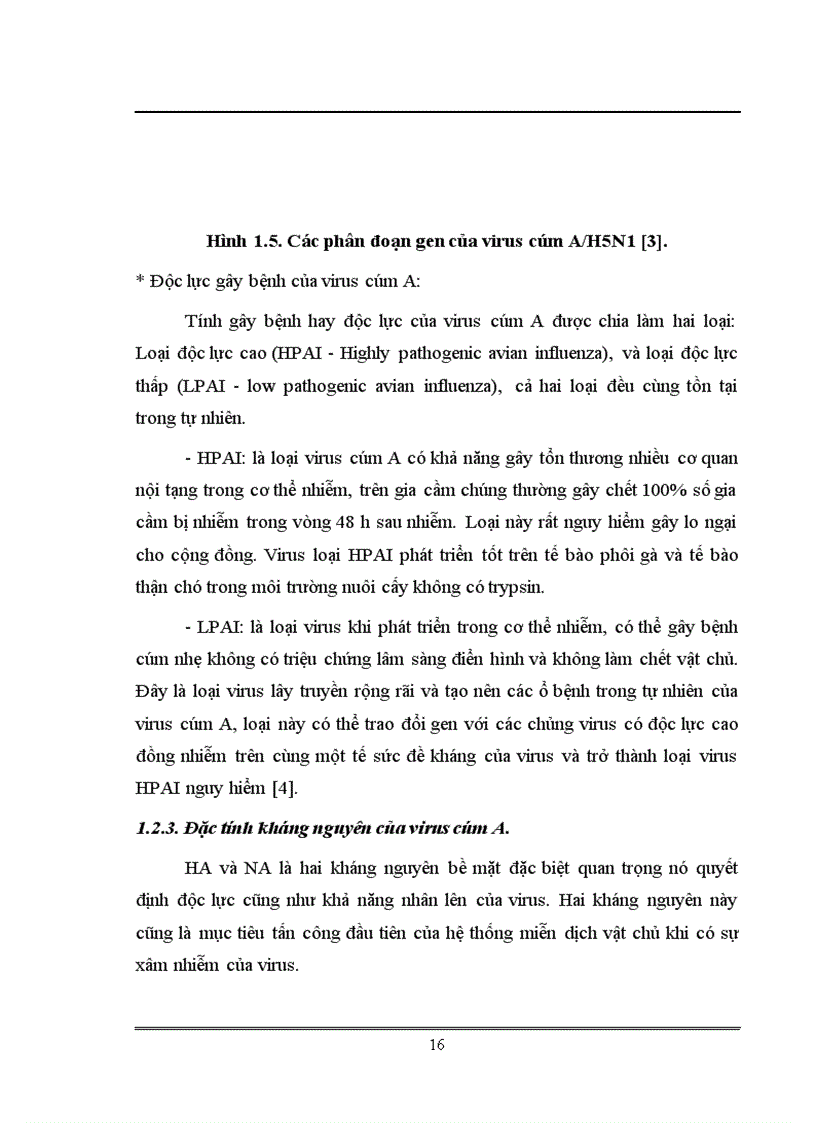 image for page Xác định trình tự và phân tích gen mã hóa kháng nguyên HA của virus cúm chủng NIBRG 14 sử dụng trong sản xuất vacine cúm A H5N1 tại Việt Nam