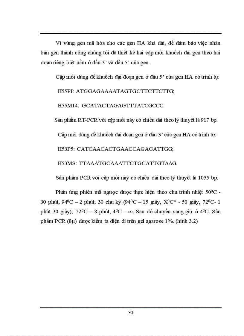 image for page Xác định trình tự và phân tích gen mã hóa kháng nguyên HA của virus cúm chủng NIBRG 14 sử dụng trong sản xuất vacine cúm A H5N1 tại Việt Nam