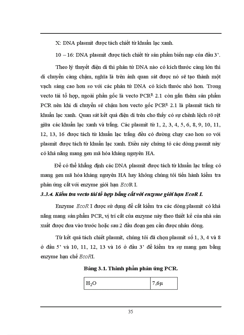image for page Xác định trình tự và phân tích gen mã hóa kháng nguyên HA của virus cúm chủng NIBRG 14 sử dụng trong sản xuất vacine cúm A H5N1 tại Việt Nam