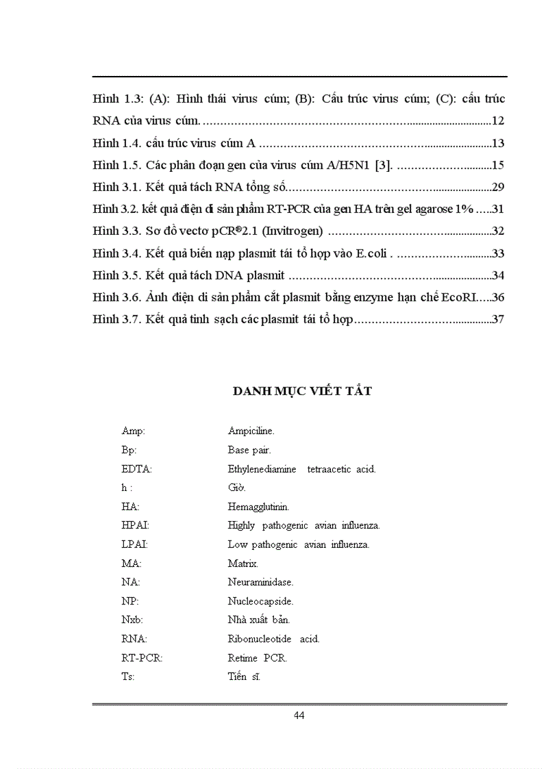 image for page Xác định trình tự và phân tích gen mã hóa kháng nguyên HA của virus cúm chủng NIBRG 14 sử dụng trong sản xuất vacine cúm A H5N1 tại Việt Nam