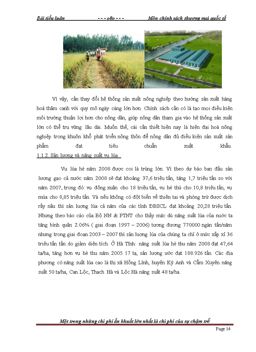 image for page Chính sách khuyến khích và những ảnh hưởng của nó tới tình hình xuất khẩu gạo của Việt Nam Giai Đoạn 2006 2010