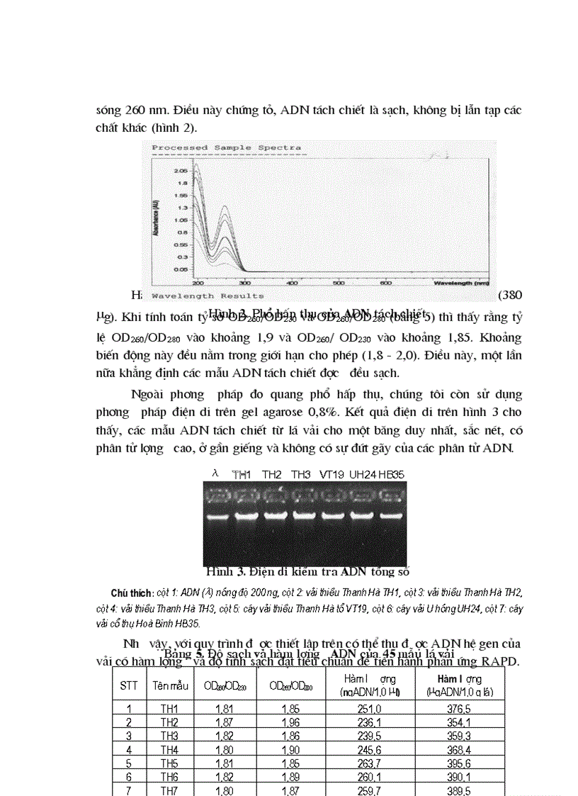 image for page Nghiên cứu tính đa hình AND của các dòng vải thiều Thanh Hà bằng kỹ thuật sinh học phân tử