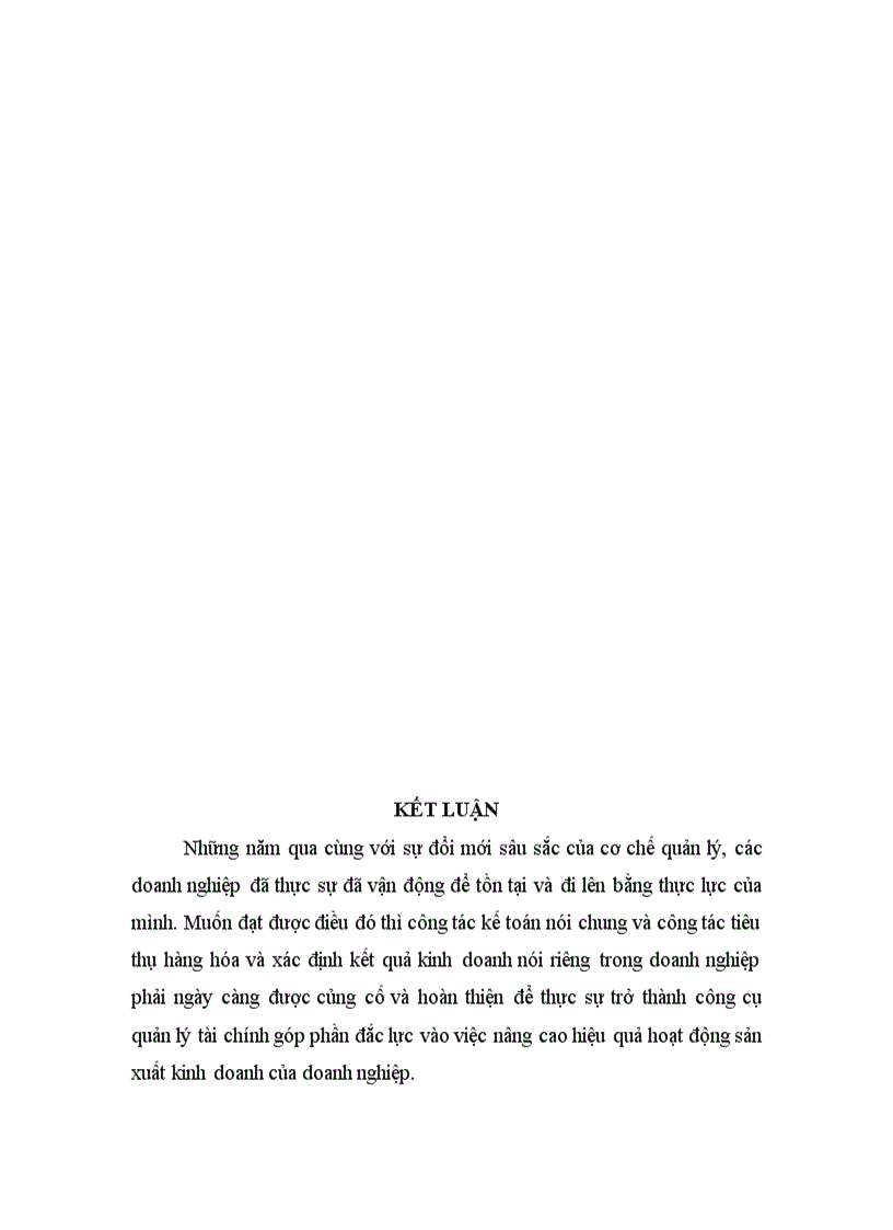 image for page Công tác kế toán tiêu thụ hàng hoá và xác định kết quả kinh doanh ở công ty TNHH HD Việt Nam