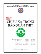 Chiếu xạ trong bảo quản thịt