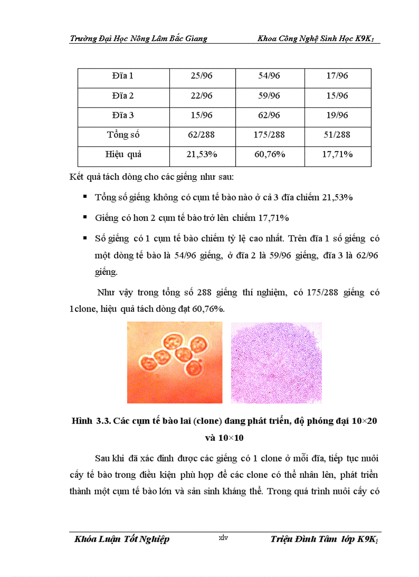 image for page Nghiên cứu tạo dòng tế bào lai sinh kháng thể đơn dòng kháng AFP hỗ trợ chẩn đoán sớm bệnh ung thư tế bào gan ở người