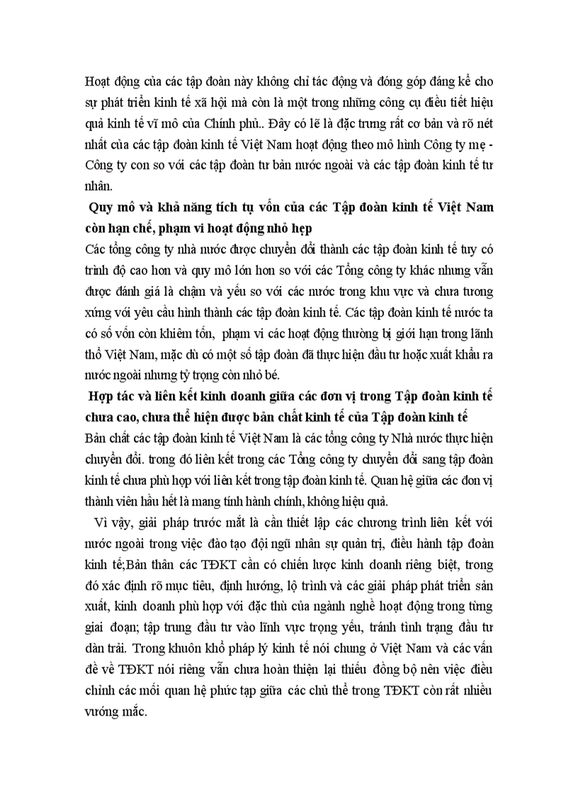 image for page Cá nhân thương mại Tập đoàn kinh tế Việt Nam và các đặc điểm