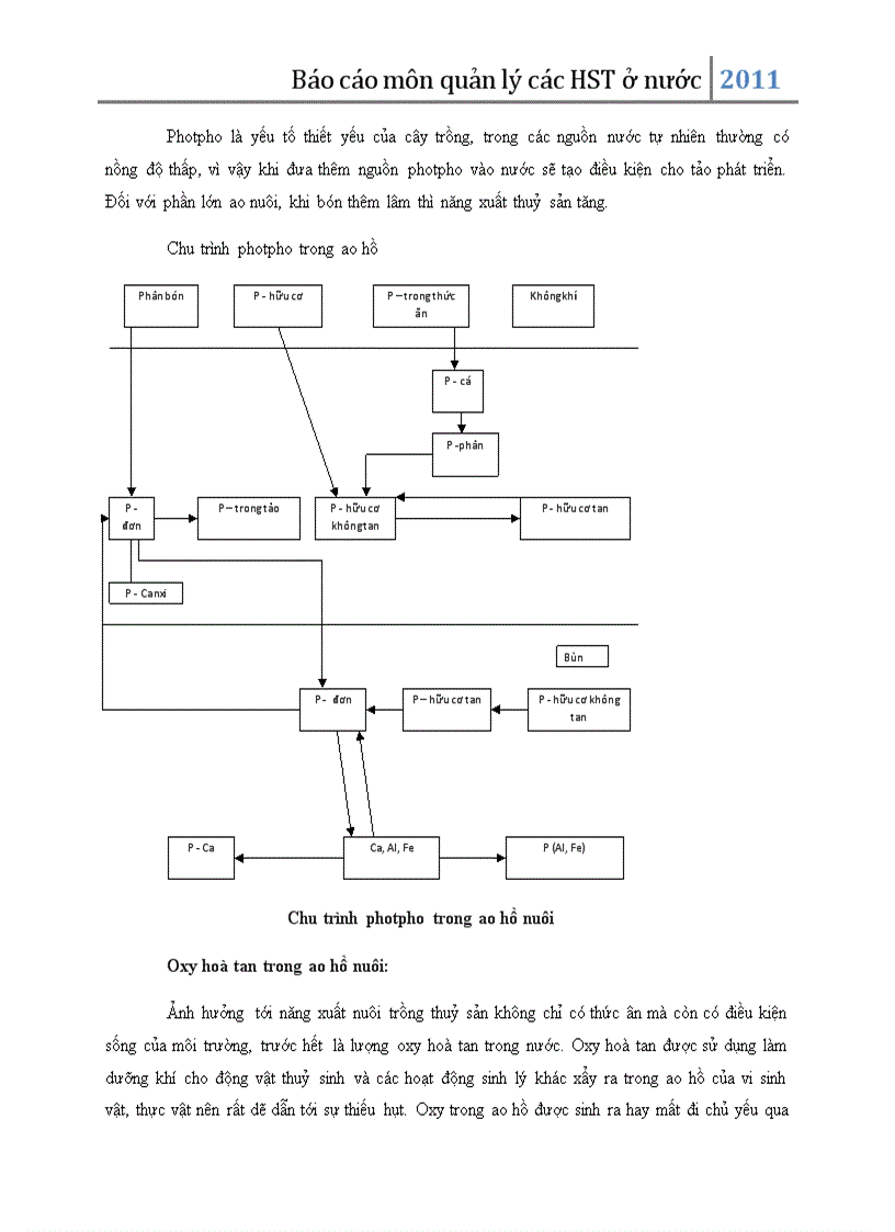 image for page Hệ sinh thái ao nuôi trồng thủy sản