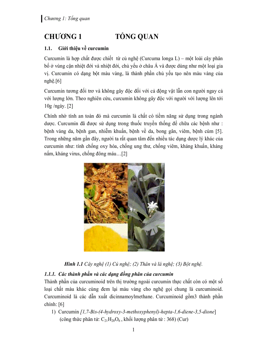 image for page Tách và tinh chế các dẫn xuất curcuminoid trích từ củ nghệ vàng Curcuma longa L