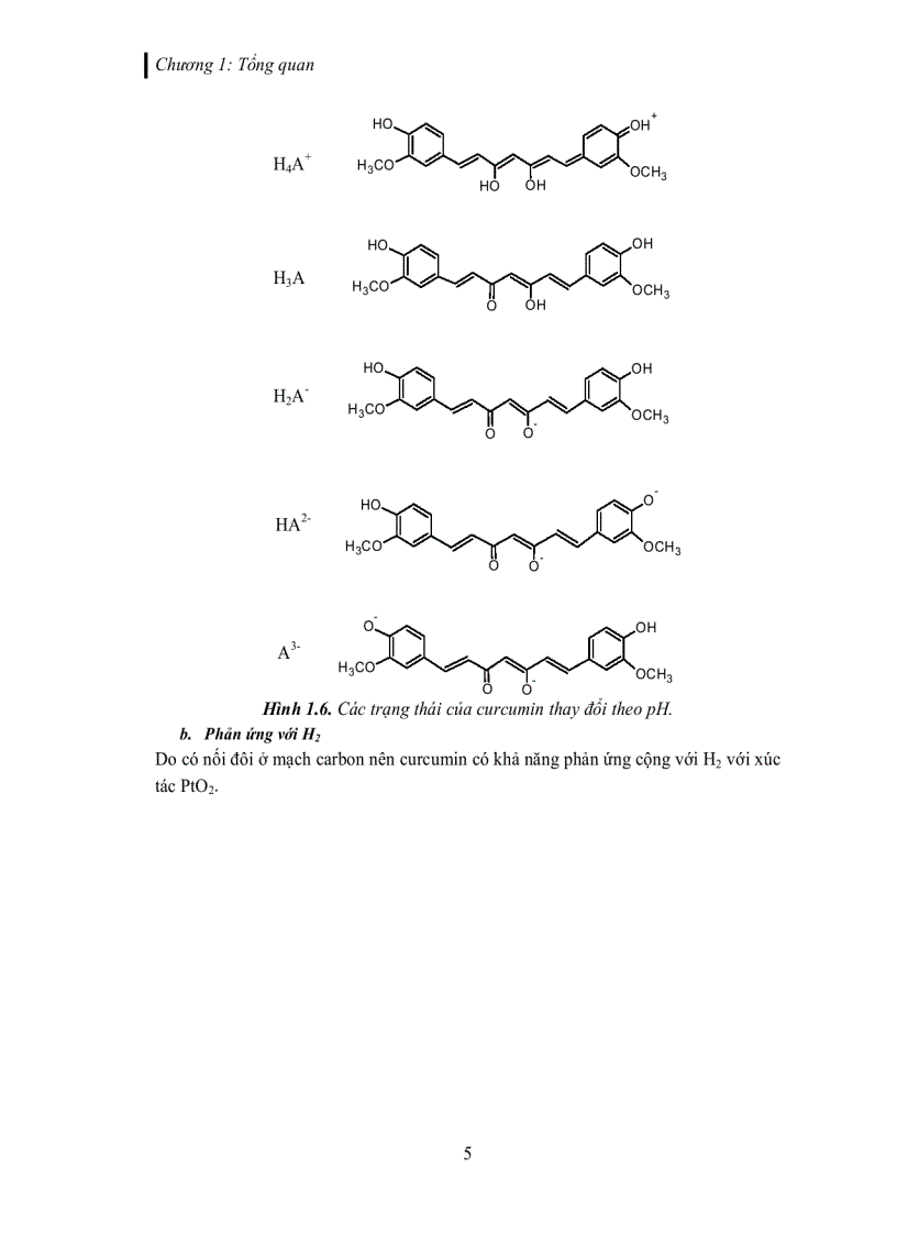 image for page Tách và tinh chế các dẫn xuất curcuminoid trích từ củ nghệ vàng Curcuma longa L