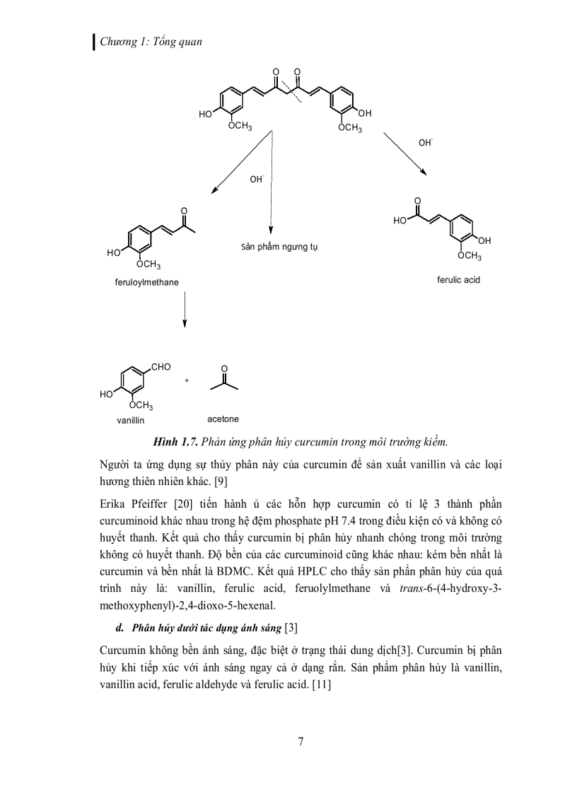 image for page Tách và tinh chế các dẫn xuất curcuminoid trích từ củ nghệ vàng Curcuma longa L