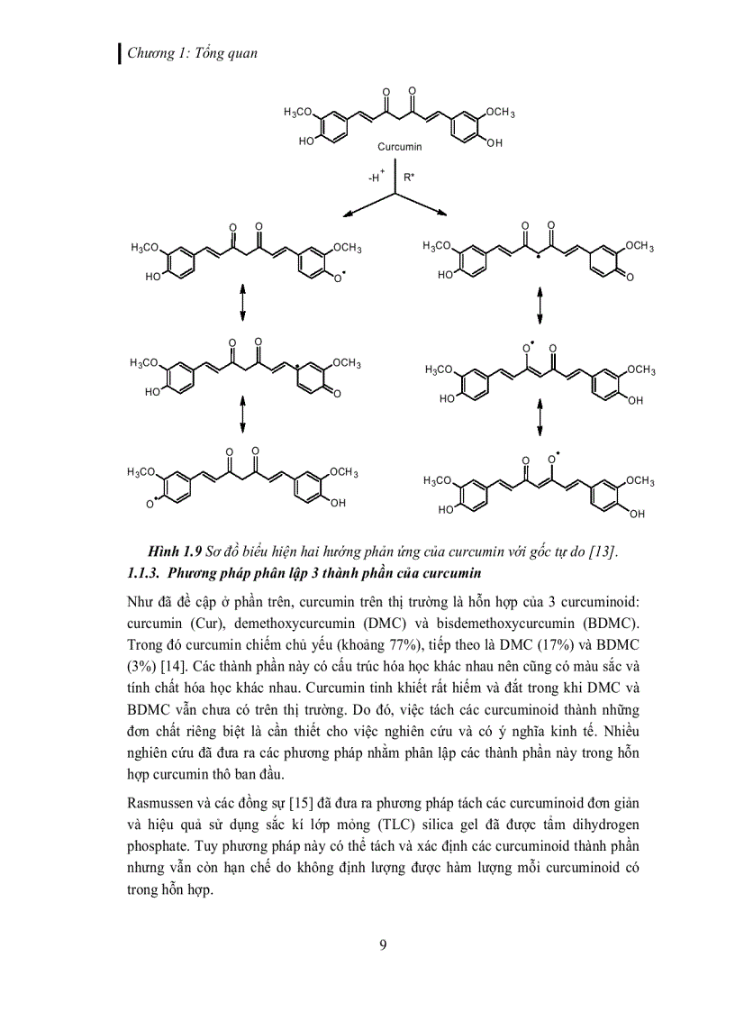 image for page Tách và tinh chế các dẫn xuất curcuminoid trích từ củ nghệ vàng Curcuma longa L