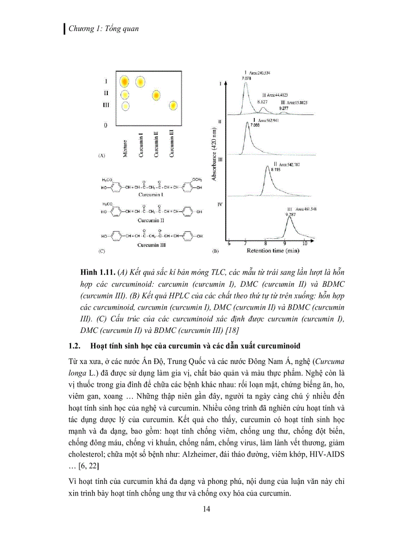 image for page Tách và tinh chế các dẫn xuất curcuminoid trích từ củ nghệ vàng Curcuma longa L