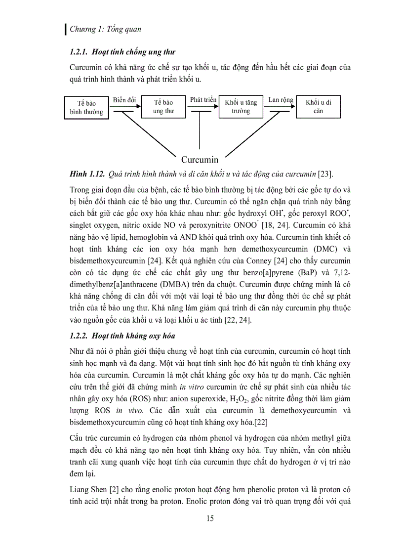 image for page Tách và tinh chế các dẫn xuất curcuminoid trích từ củ nghệ vàng Curcuma longa L