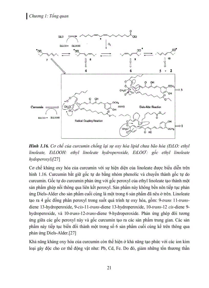 image for page Tách và tinh chế các dẫn xuất curcuminoid trích từ củ nghệ vàng Curcuma longa L
