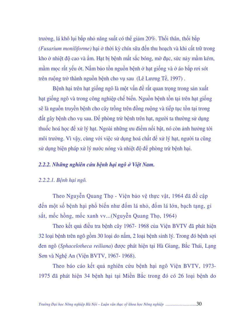 image for page Nghiên cứu nguyên nhân năng suất ngô còn thấp biện pháp giải quyết năng cao năng suất ngô Việt Nam