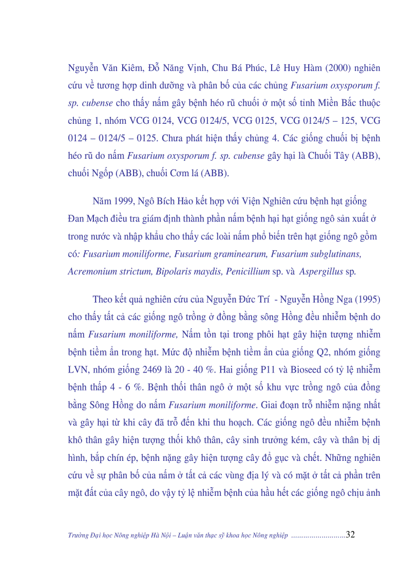 image for page Nghiên cứu nguyên nhân năng suất ngô còn thấp biện pháp giải quyết năng cao năng suất ngô Việt Nam