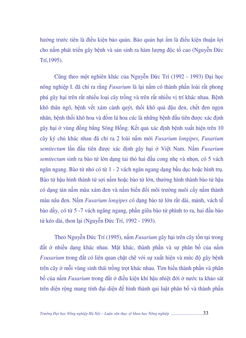 image for page Nghiên cứu nguyên nhân năng suất ngô còn thấp biện pháp giải quyết năng cao năng suất ngô Việt Nam