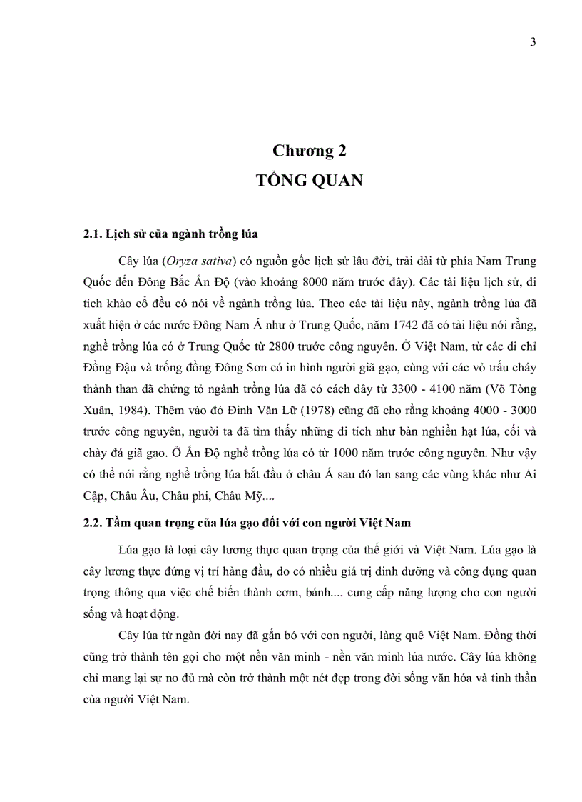 image for page Thanh lọc tính chống chịu mặn của một số giống lúa cao sản ngắn ngày tại viện lúa ĐỒNG BẰNG SÔNG CỬU LONG