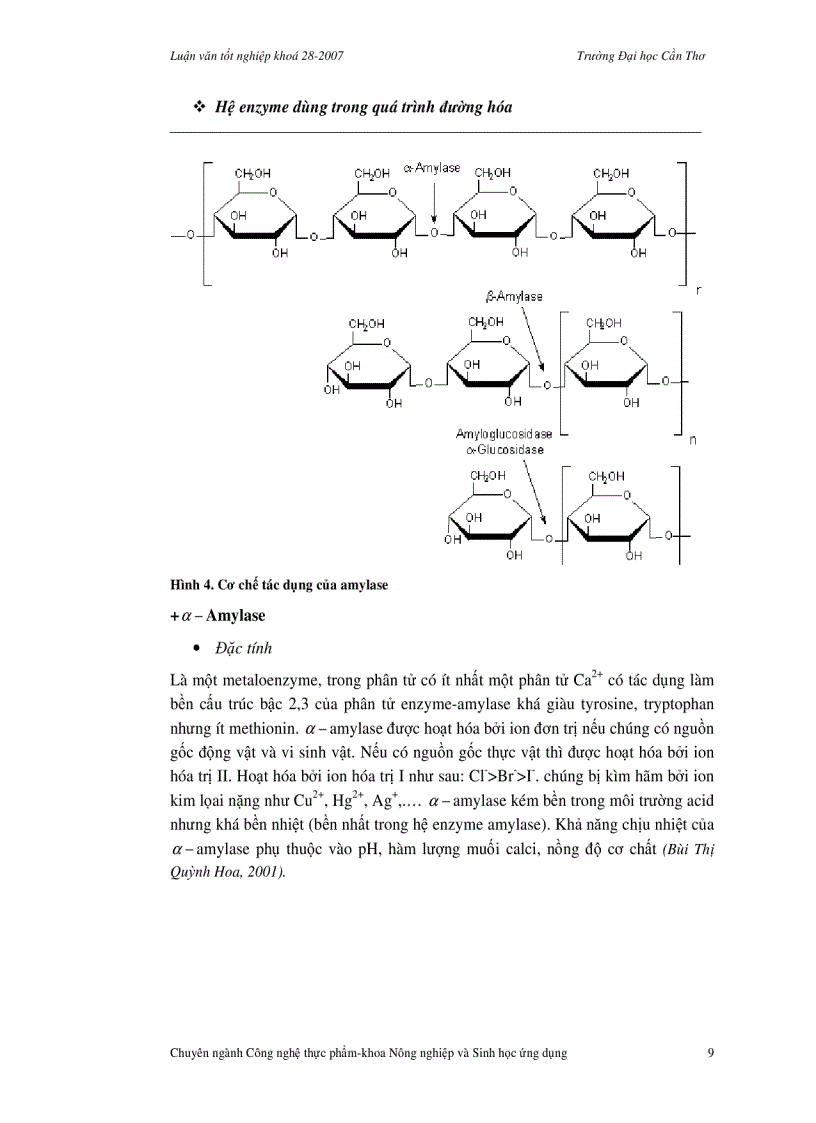 image for page Sử dụng chế phẩm sinh học trong sản xuất rượu vang mít