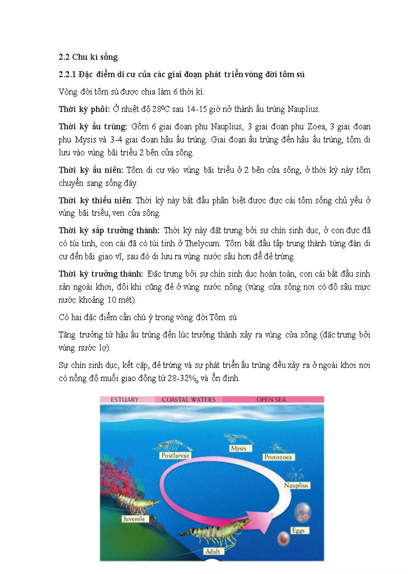 image for page So sánh tỷ lệ sống của ấu trùng Tôm sú Panaeus Monodon ở hai mật độ ương 150 con lít và 200 con lít