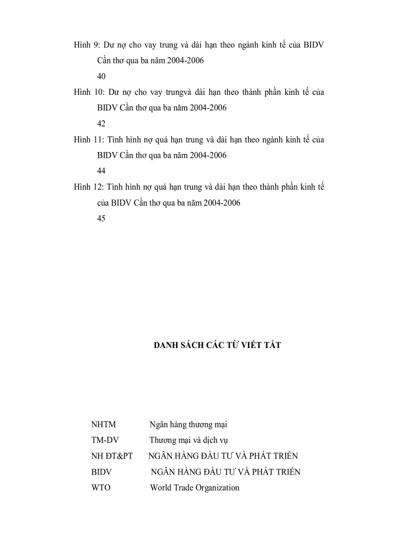 image for page Phân tích hiệu quả hoạt động tín dụng trung và dài hạn tại chi nhánh ngân hàng đầu tư và phát triển cần thơ