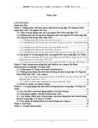 Các giải pháp thu hút khách hàng Hà Nội đi du lịch trong dịp Tết Mậu Tý 2008 của C ty lữ hành Hanoitourist