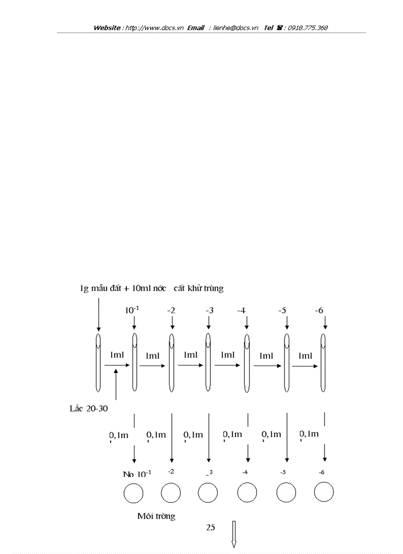 image for page Bệnh học thực vật kỹ thuật phân lập nấm bệnh nấm đối kháng