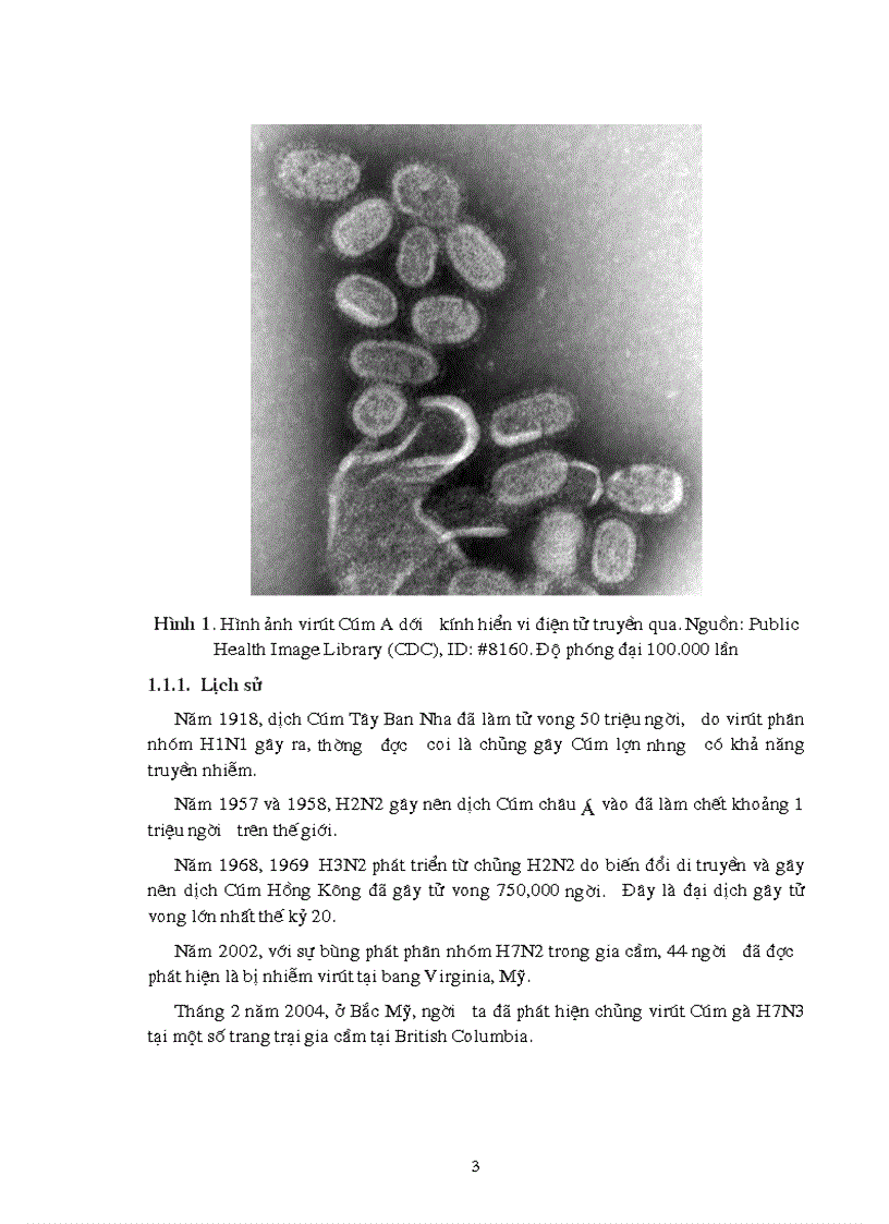 image for page Nghiên cứu thích ứng chủng virút Cúm mùa trên các dòng tế bào khác nhau