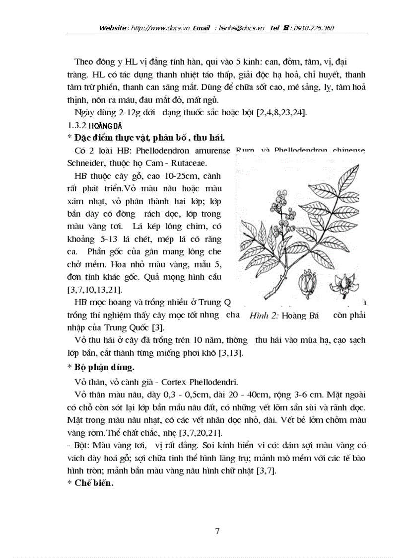 image for page Nghiên cứu thành phần hoá học và tác dụng kháng kháng khuẩn của phương thuốc TAM HOÀNG THANG