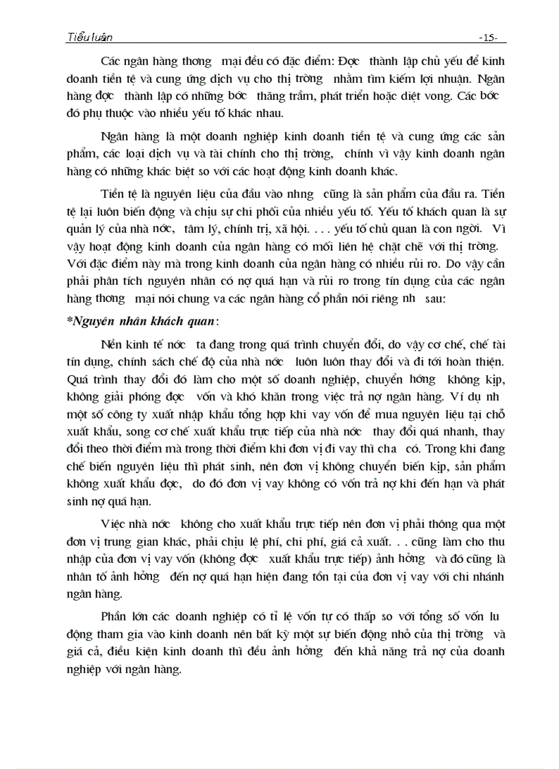 image for page Rủi ro tín dụng và các giải pháp hạn chế rủi ro tín dụng trong hoạt động kinh doanh của Ngân hàng thương mại Việt Nam