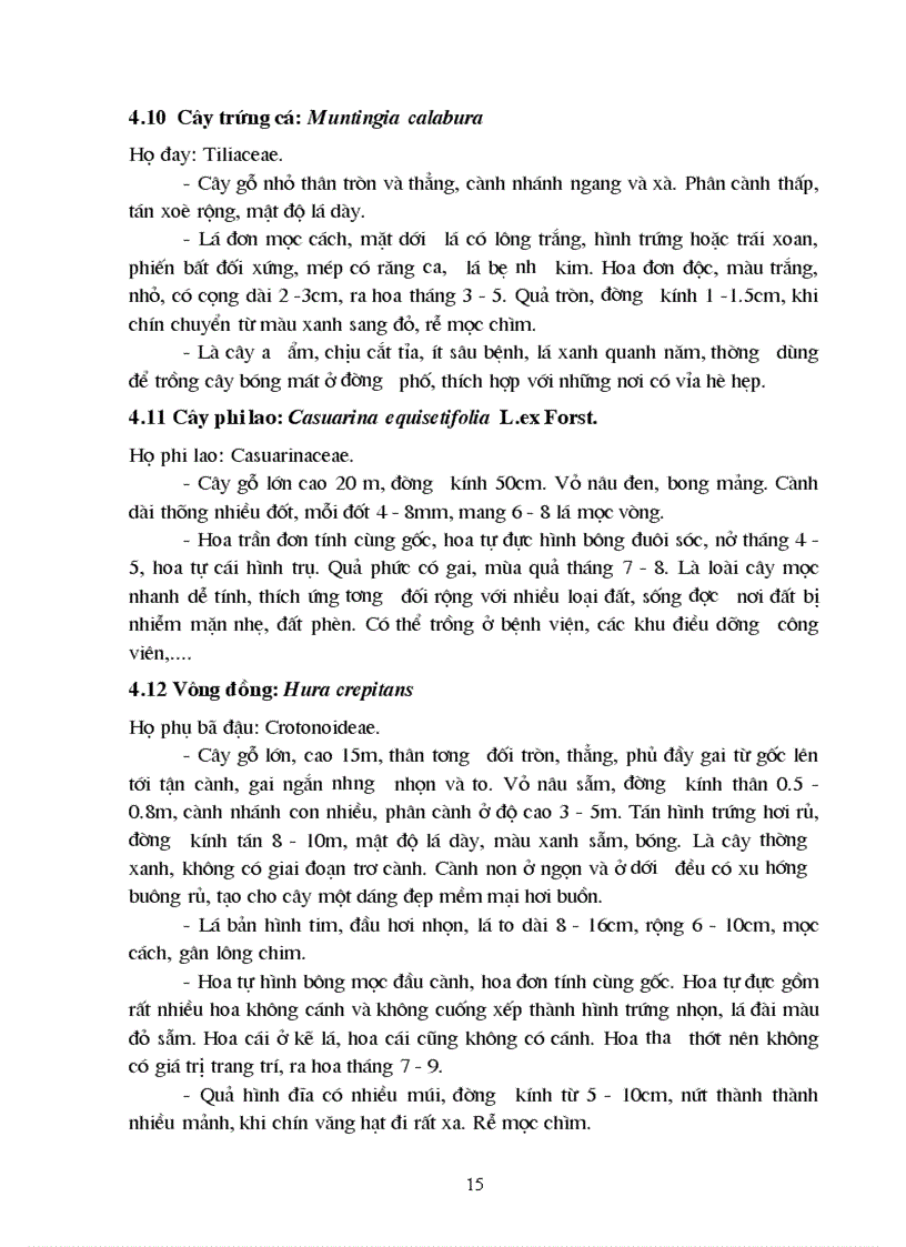 image for page Đánh giá và xếp loại một số loài cây trồng thường gặp trên đường phố tại thành phố Hạ Long
