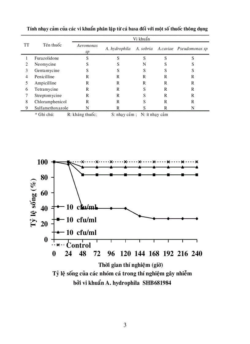 image for page Nghiên Cứu Bệnh Xuất Huyết Trên Vi Xoang Miệng Cá Basa Pangasius Bocourti Nuôi Bè Tại An Giang