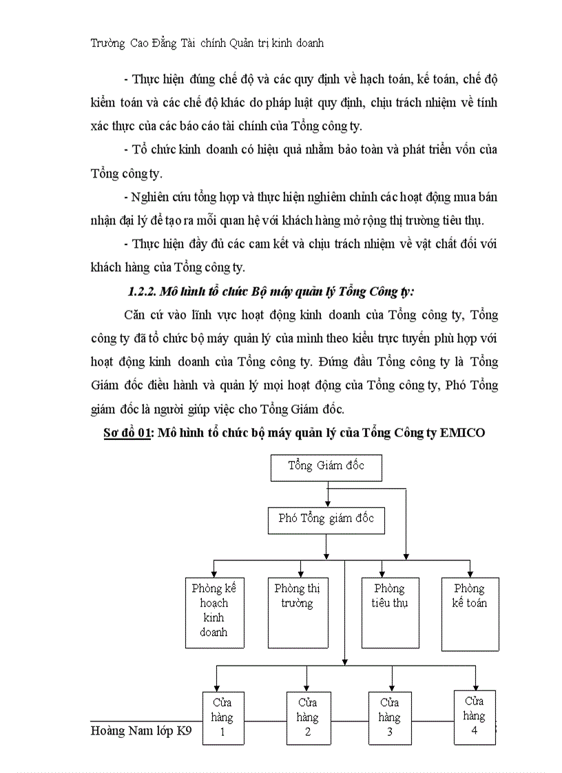 image for page Hoàn thiện công tác kế toán bán hàng và xác định kết quả kinh doanh tại tổng công ty phát triển phát thanh truyền hình thông tin emico